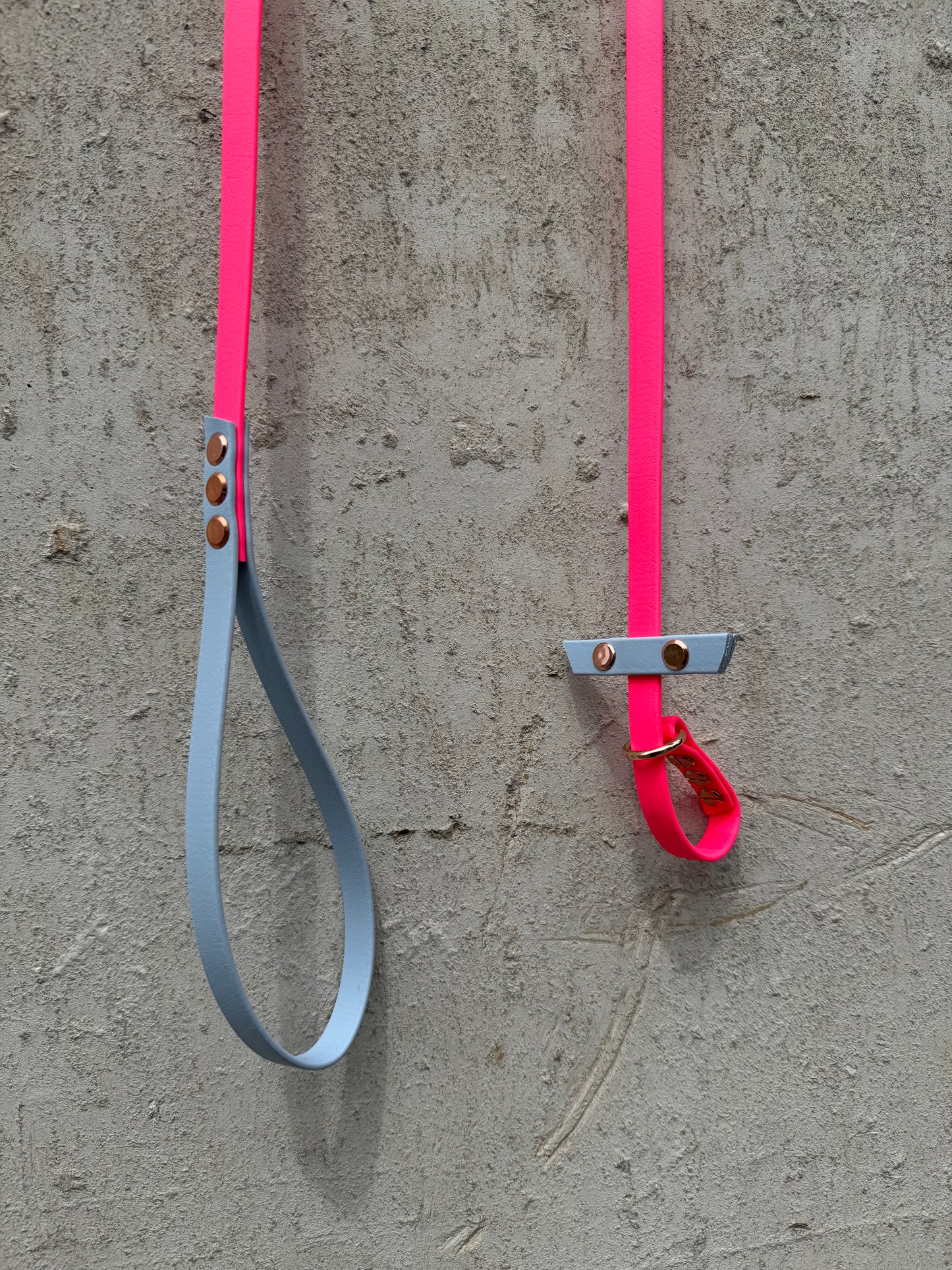 Pink and Blue slip Leash