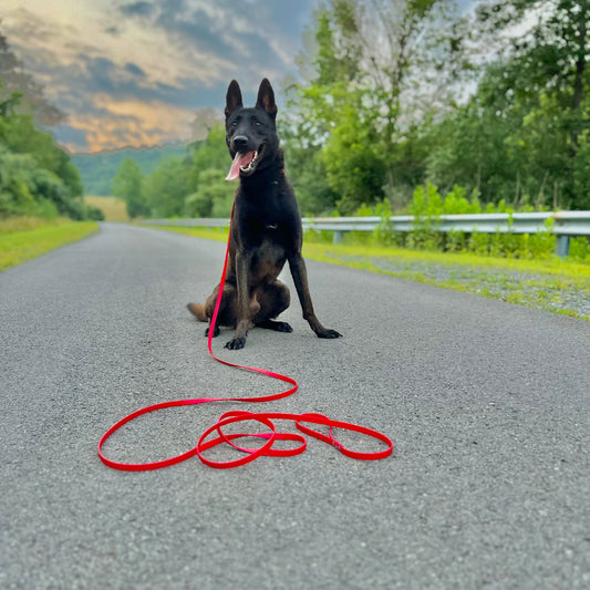 Slip Leash