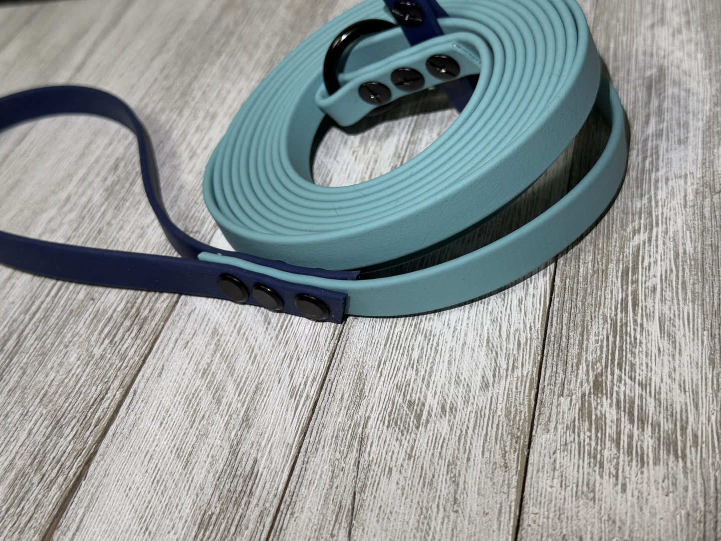 12ft Flat Biothane Slip Leash