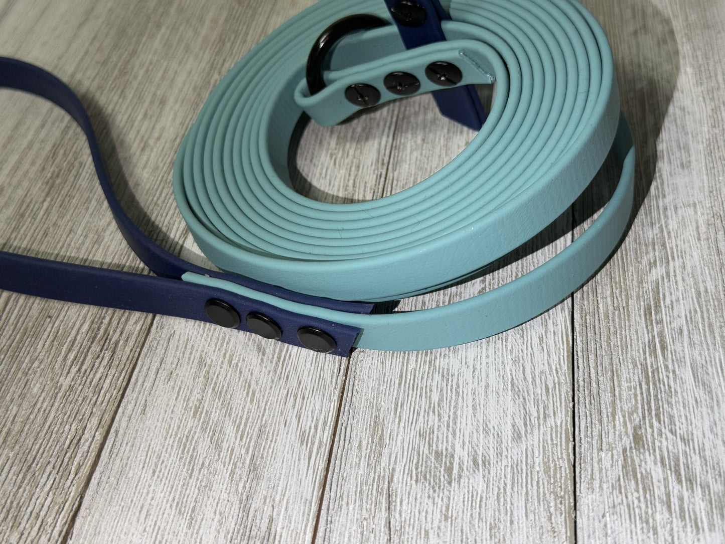 12ft Flat Biothane Slip Leash