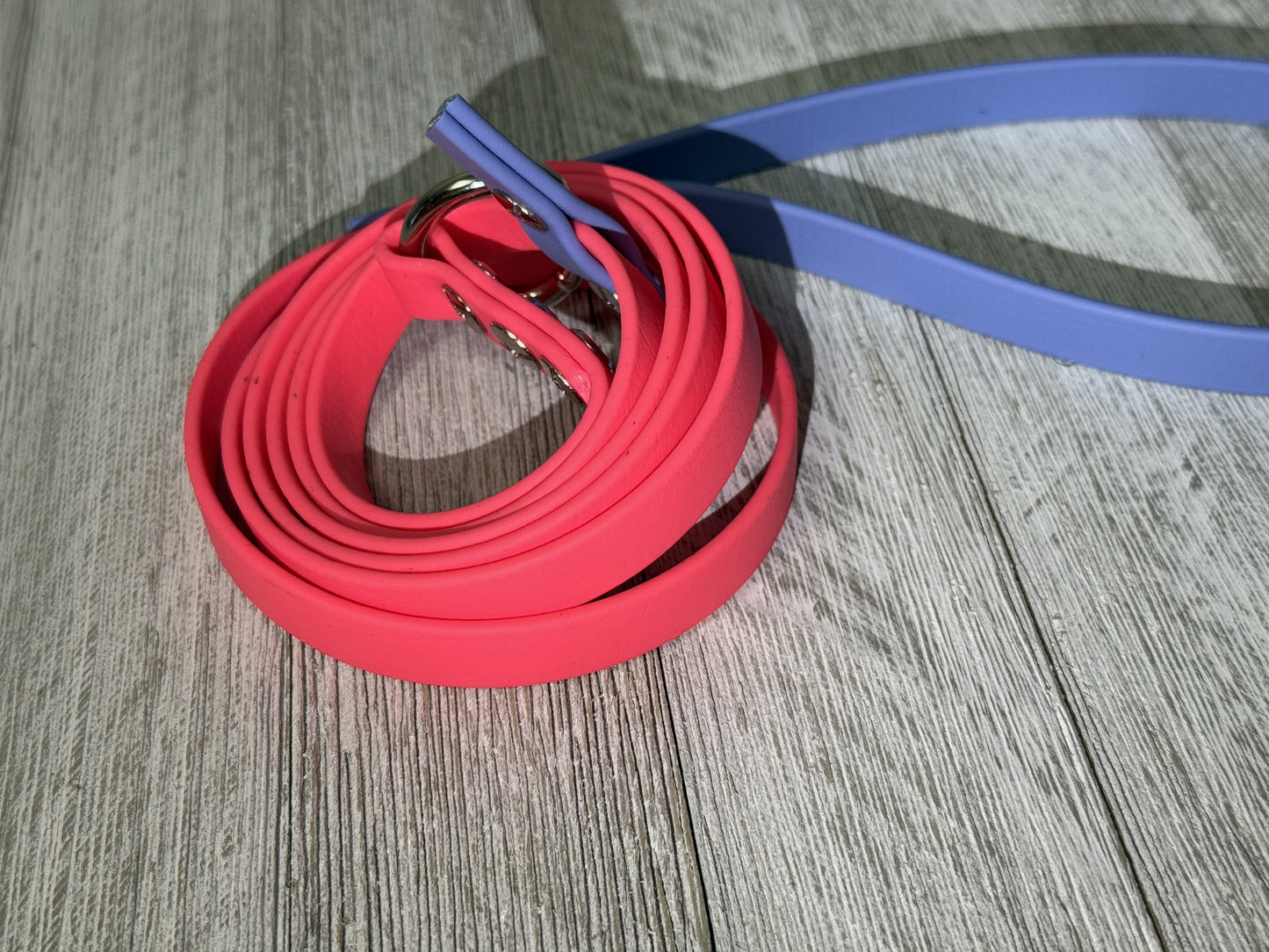 8ft Flat Biothane Slip Leash